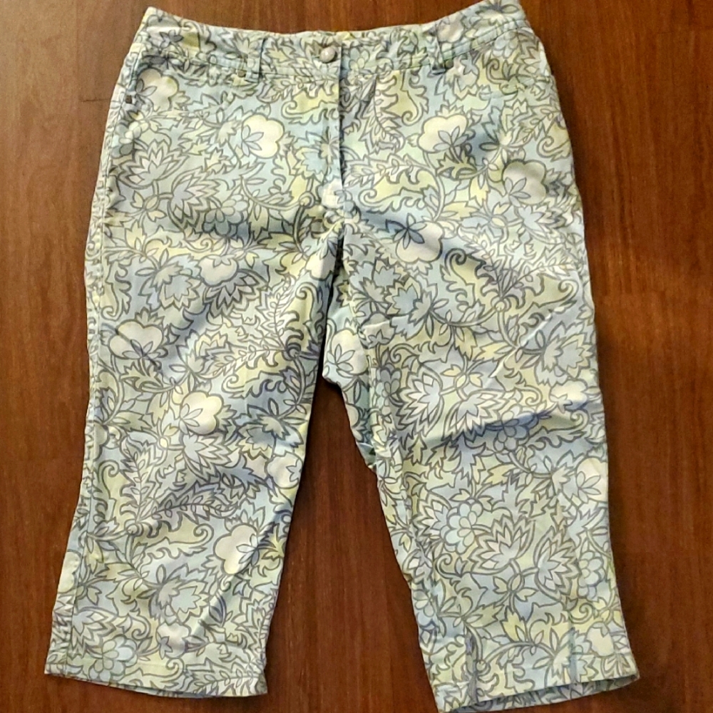 Sigrid Olsen Collection Women's Blue/Green Floral Patterned Capri Pants - Size 8